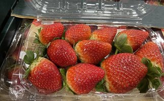 100 пъти се е увеличил износа на ягоди от Египет за Казахстан за 4 г.