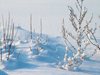 Снежната покривка в Ловешко достига 70 см (Видео)