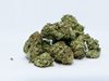 630 кг марихуана на прах залови полицията в Албания, петима са арестувани