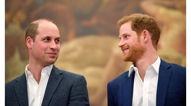 Принц Уилям и принц Хари реагираха остро на разкритията от разследването.