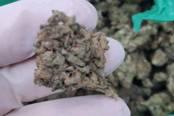 Около 4 кг. марихуана е открита в багажника на аудито.