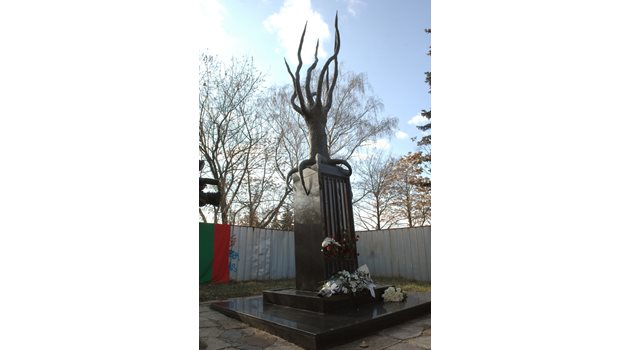 Паметникът на Ставри Калинов "Дървото на живота", сега е с окършени листа.