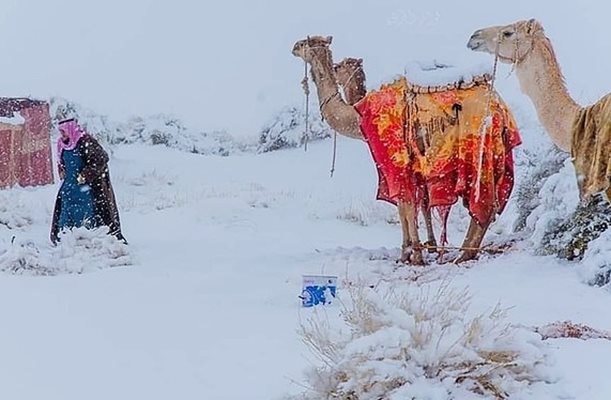 Януари довя сняг в Сахара
