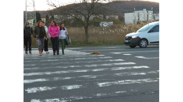 Близки и приятели на убития ученик поставиха цветя на пешеходната пътека, на която бе блъснат. Снимки:Елена Фотева