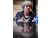 Тереза Мей: Великобритания трябва да е твърда към финансиращите тероризма