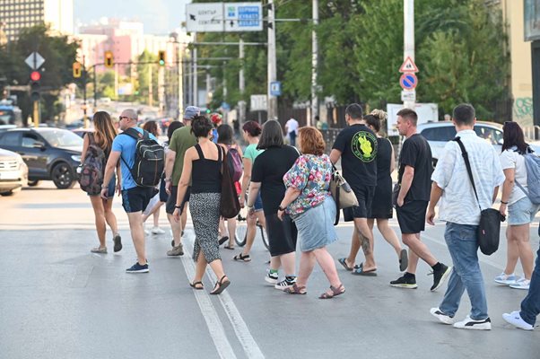 С лозунги „Искаме дървета, не искаме асфалт“ протестиращите затвориха за автомобили ул. "Опълченска" в района на метростанция „Опълченска“