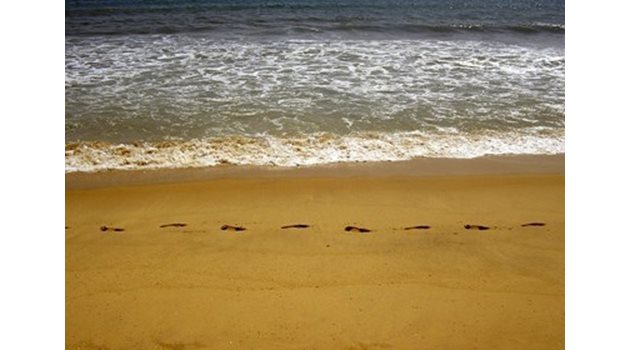 В сезона на летните вируси, стотици са покосени по морето от стомашно-чревни разстройства. СНИМКА: Pixabay