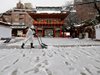 150 полета бяха отменени от летище в Токио заради обилен снеговалеж