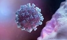 Химикът Филип Фратев:
До 2 месеца можем да имаме лекарство срещу коронавируса