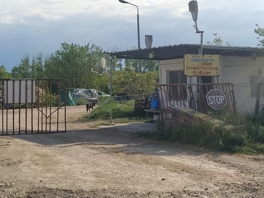 В бившия свинарник сега гледат патици.