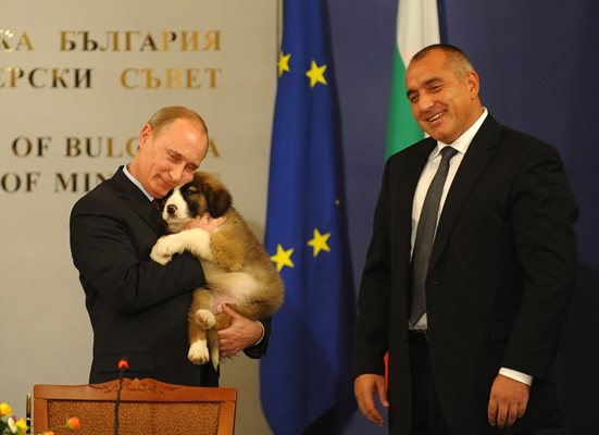 Руският президент вече има подобно куче, подарък от Бойко Борисов още от 2010 г. Бъфи живее в резиденция “Ново Огарьово”.