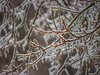 Синоптик: Февруари ще е по-зимен от януари, но ще има и много слънчеви дни