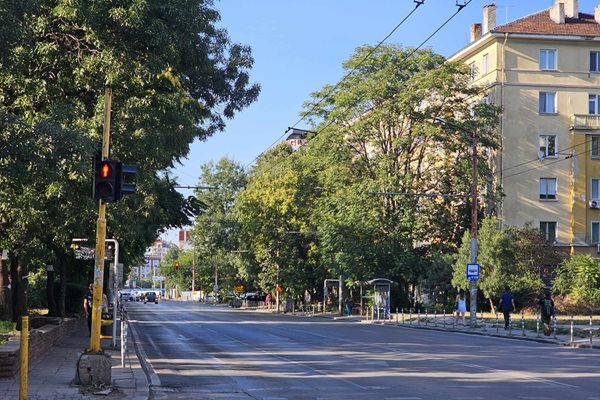 С лозунги „Искаме дървета, не искаме асфалт“ протестиращите затвориха за автомобили ул. "Опълченска" в района на метростанция „Опълченска“