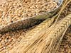 В Истанбул откриха координационния център за износ на зърно от Украйна
