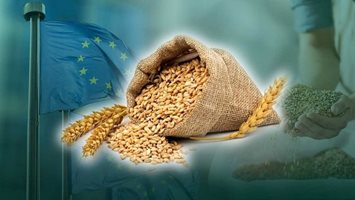 Износът на мека пшеница от ЕС през 2023/24 г. спадна с 27% на годишна база