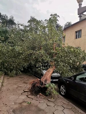 Пораженията в югозападния български град са големи.