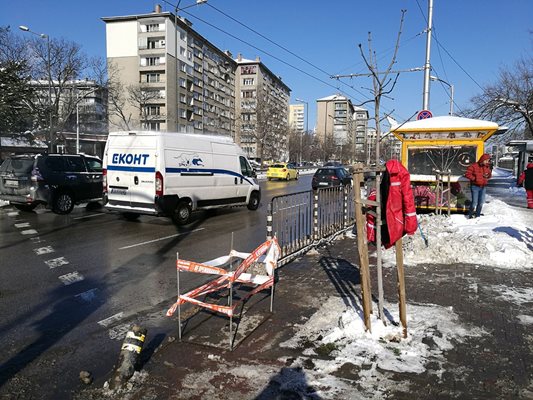 Трагичният инцидент стана в неделя на столичния бул. "Иван Гешов" СНИМКИ: Велислав Николов