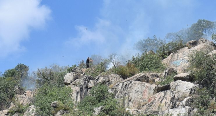 Трети час бушува пожарът на Младежкия хълм, огнеборци и доброволци се борят (снимки)