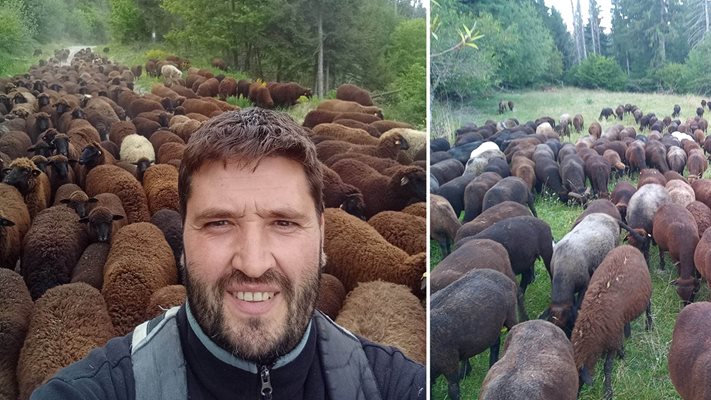 Фермерът Атанас Кисьов от Смолян алармира:  100 лв. печалба от агне за търговците
