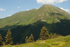 Мъж падна в дере, спасиха го пожарникари от Кърджали