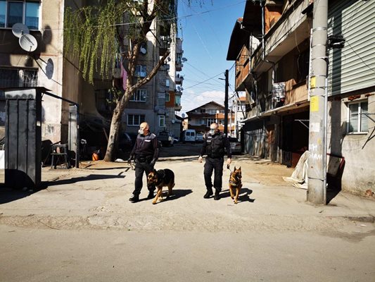 Полицаи с кучета обикалят ромските махали в Пловдив