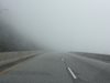 Валежи и мъгла затрудняват движението по някои от основните пътища в страната