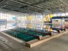 Вход свободен за олимпийската квалификация по плуване в София