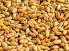 Румънски министър: Няма доказателства, че зърно от Украйна се разтоварва у нас