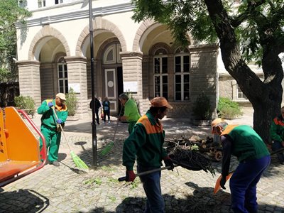 Работници режат клони и събират отпадъци пред Хуманитарната гимназия. СНИМКА: Радко Паунов