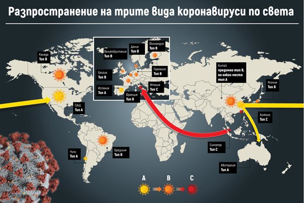 Учени: В света върлуват 3 щама на коронавируса (инфографика)