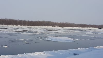 Дунав бързо замръзва, достигна 50% ледоход (обновена+снимки)