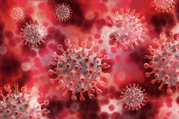 56 нови случая на коронавирус, починал е един човек