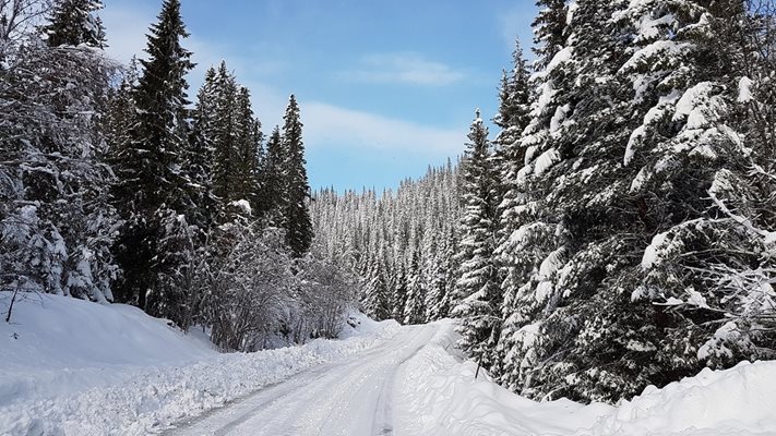 ВНИМАНИЕ! Затварят път за цялата зима, вижте кой е участъкът