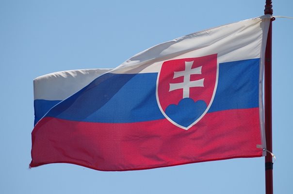 Словакия флаг Снимка: Pixabay