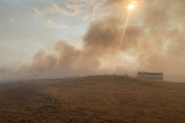 Облаци дим от горящи сухи треви. Снимка: Регионална дирекция "Пожарна безопасност и защита на населението"