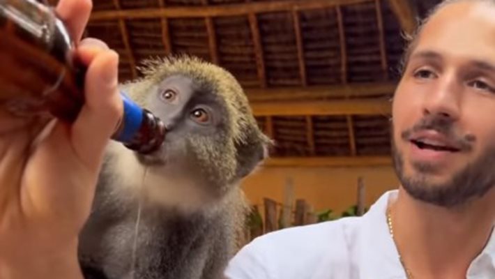 ШОК! Папи Ханс пие бира с маймуни