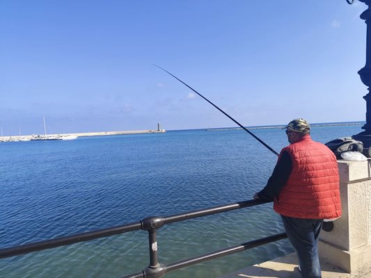 Водите на Адриатическо море гъмжат от риба