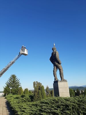 Разпънаха висока вишка, за да спасят птицата