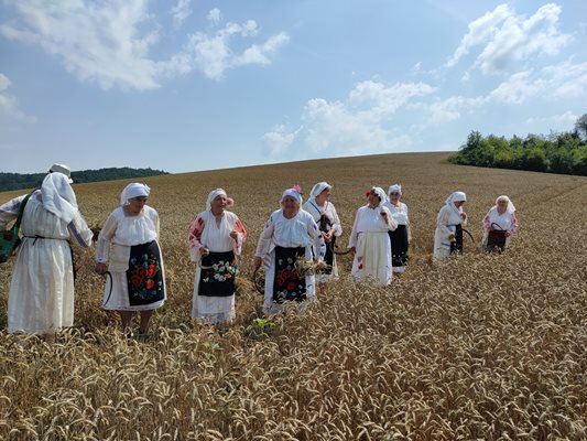 Зажънване с участието на самодейките от село Черкаски