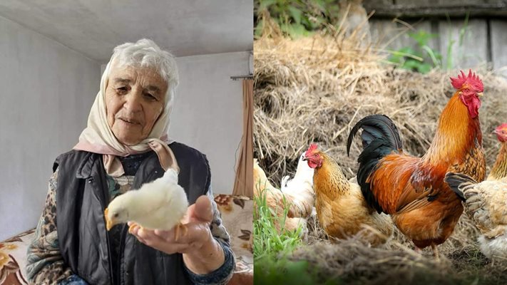 БРАВО! 86-годишната баба Мария не спира да работи
