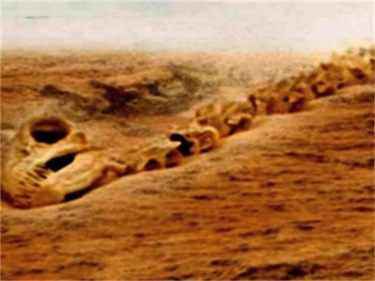 Останки от древно животно вероятно лежат върху повърхността на Марс