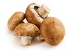 Печурките, които може да са отровили трима, са от 10 дни на пазара