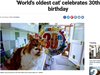 Най-възрастната котка във Великобритания навърши 30 години