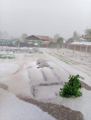 В Българене е побеляло от градушката. Снимката е от официалната страница на селото във фейсбук.