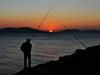 Разкриха незаконен улов на голямо количество черноморска мида и риба