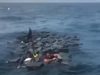 Кокаин спаси корабокрушенци от акули (Видео)