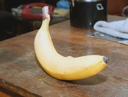 Бананът убиец - състарява всичко около себе си