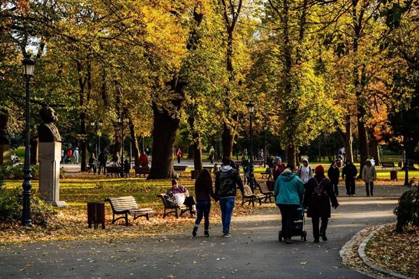 Години наред жителите на София се оплакваха от хаоса с автомобилите в „Борисова градина" Снимка: Фейсбук/ Васил Терзиев