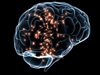 Изследователи „зареждат“ информация в мозъка като във филма „Матрицата“