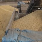 Надежди за стабилизиране на зърнения пазар
